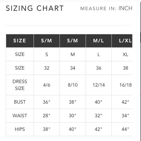 "Demi" Frederick's Of Hollywood Lace Bonbay Brown Thong Size 1X - Picture 7 of 9